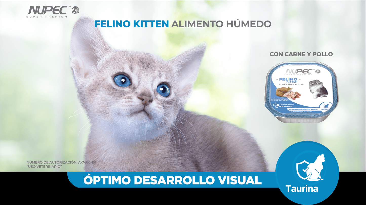 CT8437 1 Pieza De Alimento Humedo Felino Kitten Con Carne y Pollo
