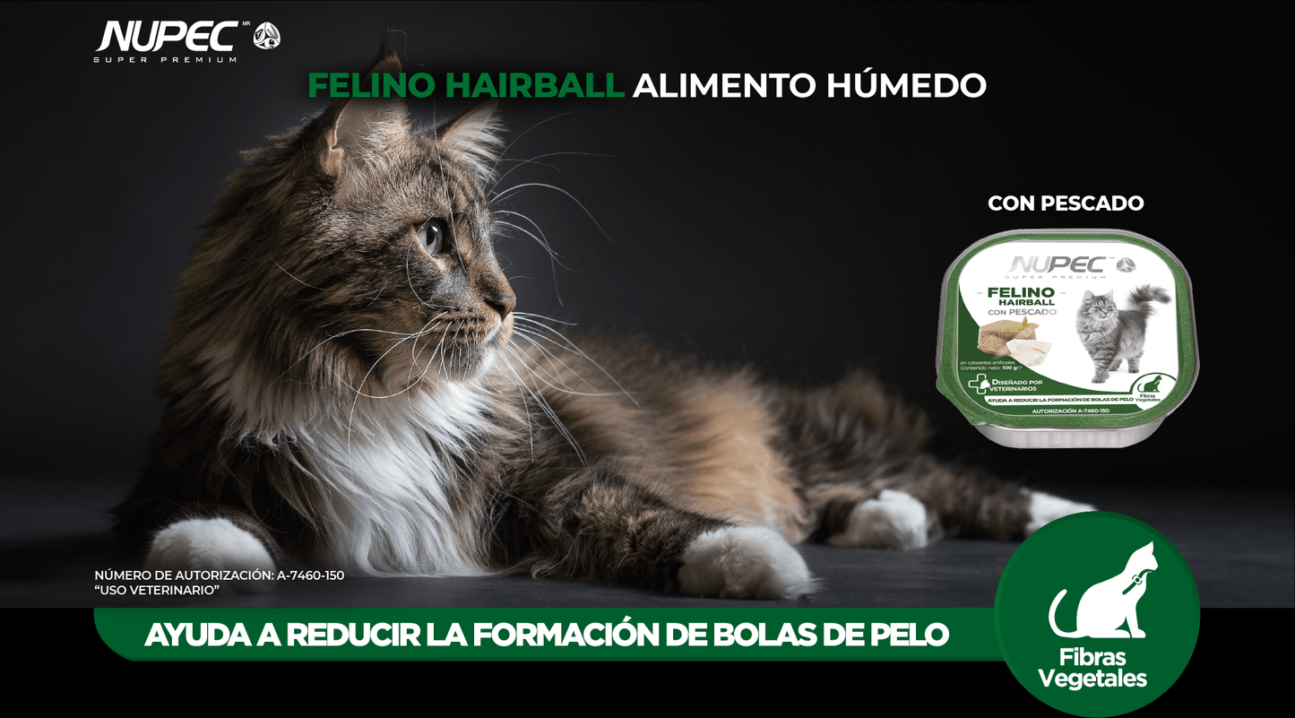 CT8438 1 Pieza De Alimento Humedo Con Pescado