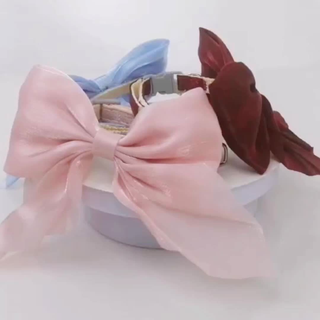 CT8477 1 Pieza De Collar Con Diseño De Moño Para Mascota