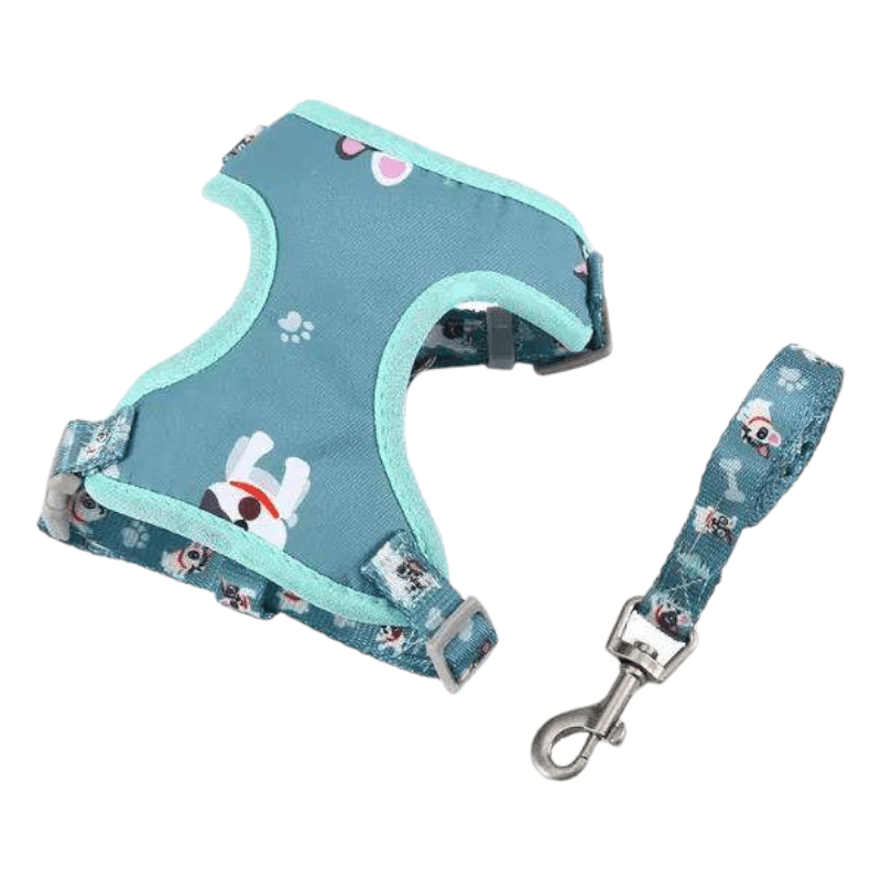 CT8902 1 Pieza De Pechera & 1 Pieza De Correa Para Mascota