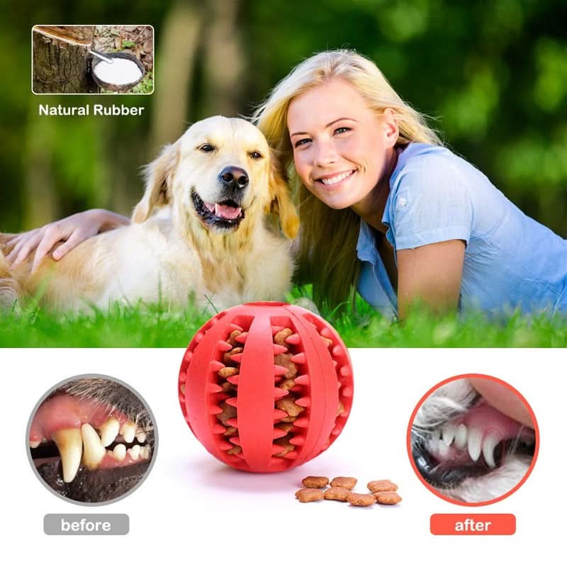 CT9177 1 Pieza Juguete Pelota Para Premio De Alimento