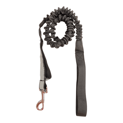 CT9252 1 Pieza De Correa Con Resorte Para Mascota