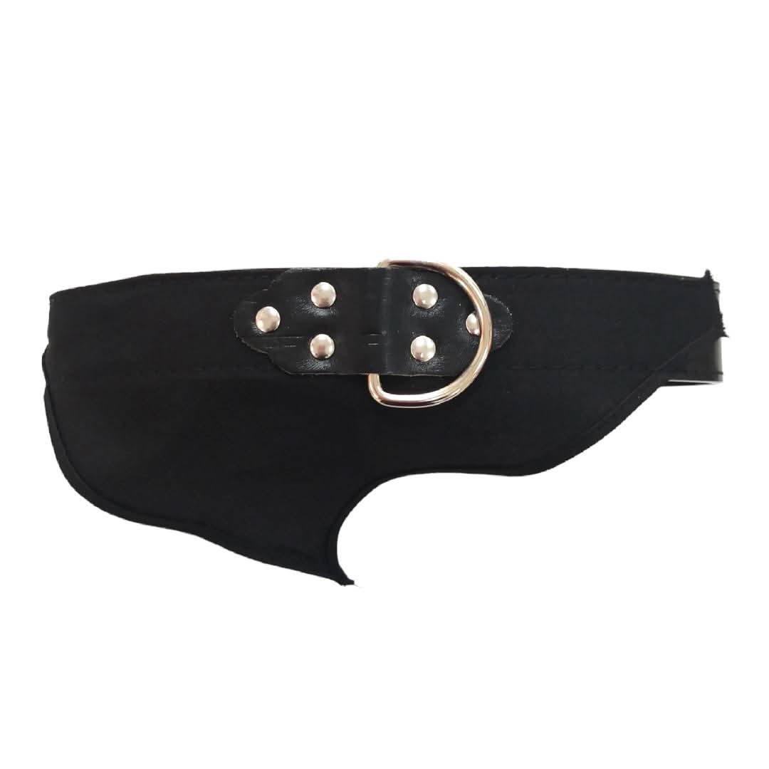 CT9321 1 Pieza De Collar Para Mascota