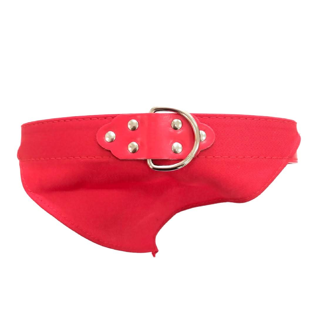 CT9321 1 Pieza De Collar Para Mascota
