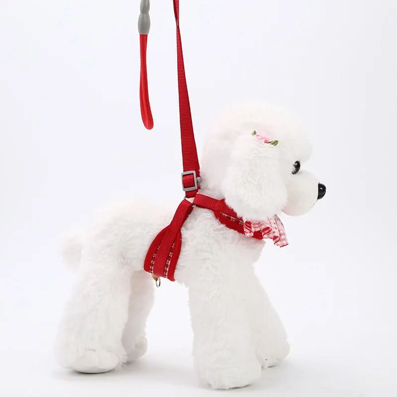CT9536 1 Pieza De Pechera Con Correa Para Mascota