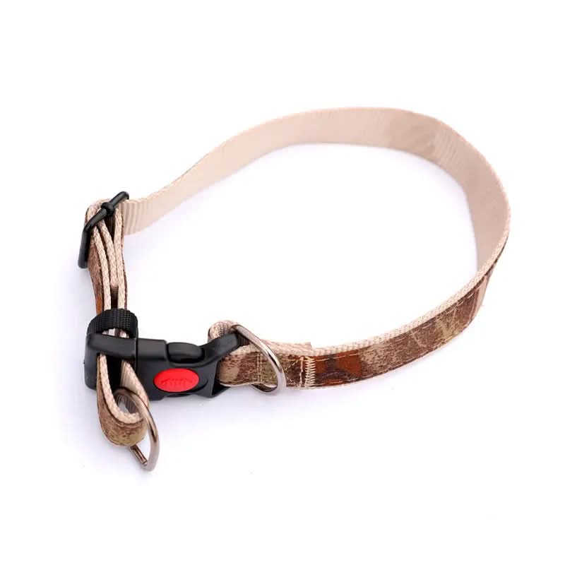 CT9772 1 Pieza De Collar Con Correa Para Mascota