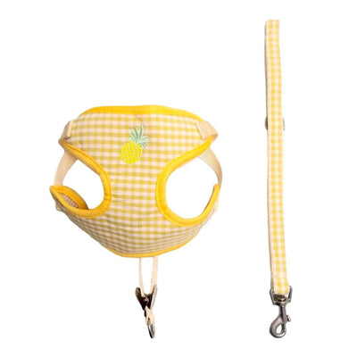 CT9815 1 Pieza De Pechera Con Correa Para Mascota