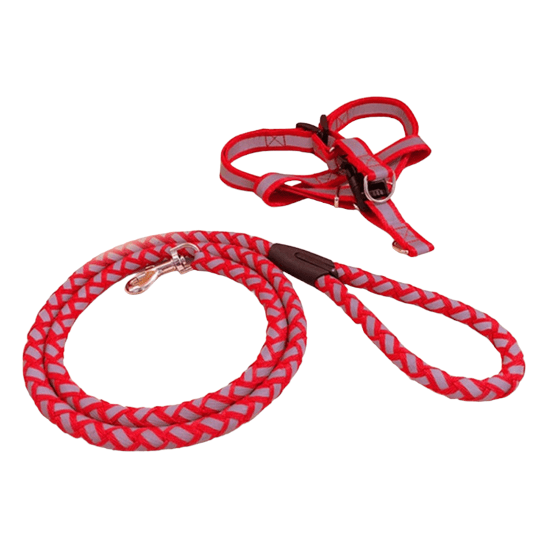 CT9854 1 Pieza Correa & 1 Pieza Pechera/Arnés Reflejante