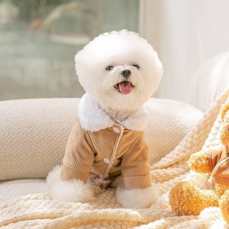 CT9878 1 Pieza De Ropa De Invierno Para Mascota