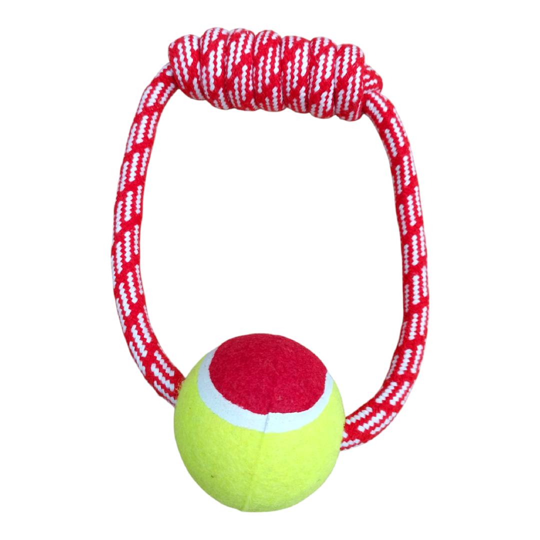 CT9900 1 Pieza De Juguete Para Mascota