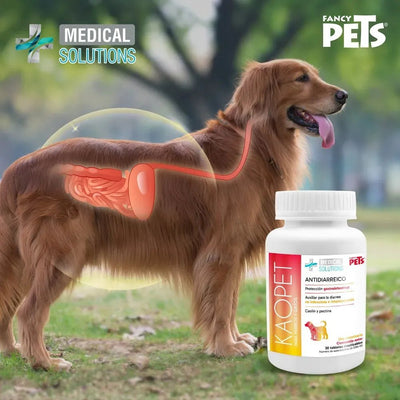 FL3643 1 Pieza De Tabletas Antidiarreico Para Mascotas
