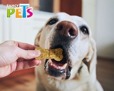 FL3848 1 Bolsa Con 130g De Galletas Con Crema De Cacahuate Para Perro