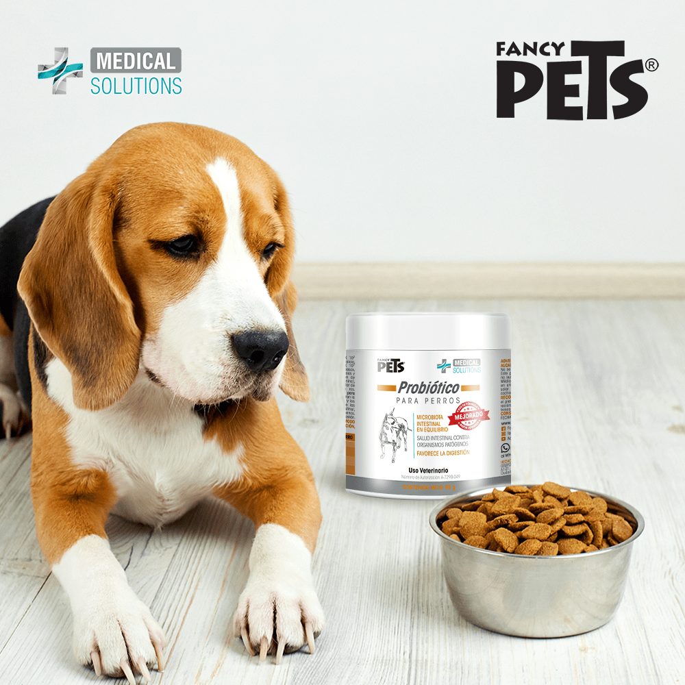 FL3869 1 Pieza De Probiotico Para Perros 90g