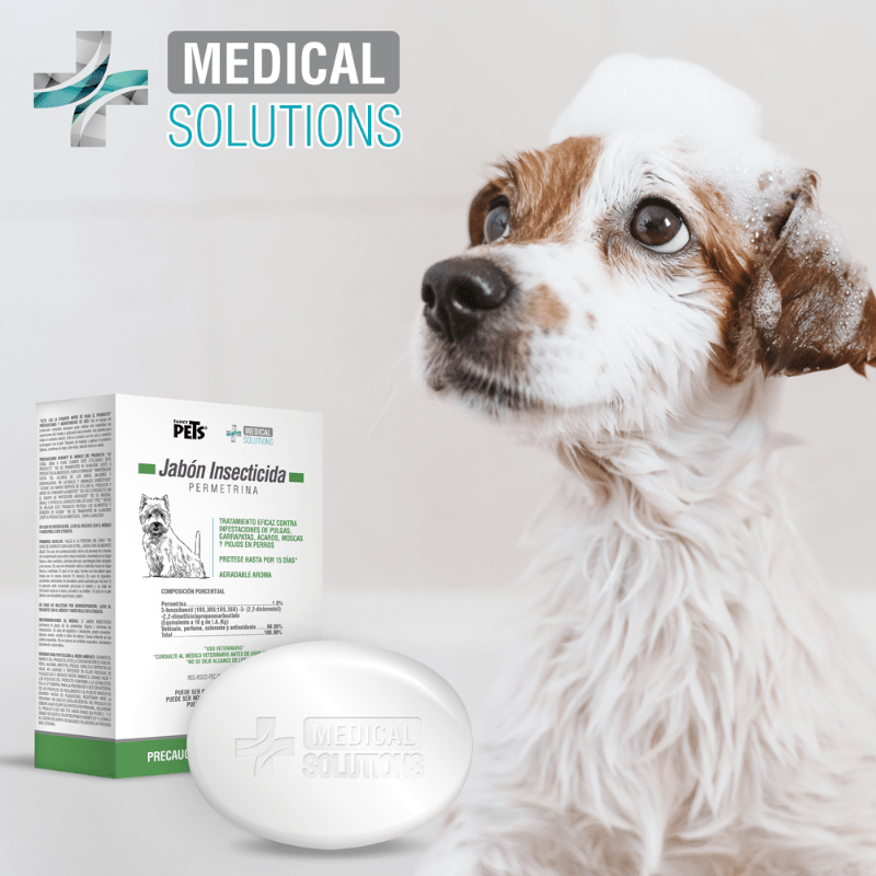 FL3943 1 Pieza Jabón Insecticida Para Mascota