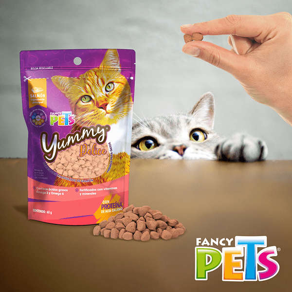 FL4506 1 Pieza De Premios Para Gato 60gr