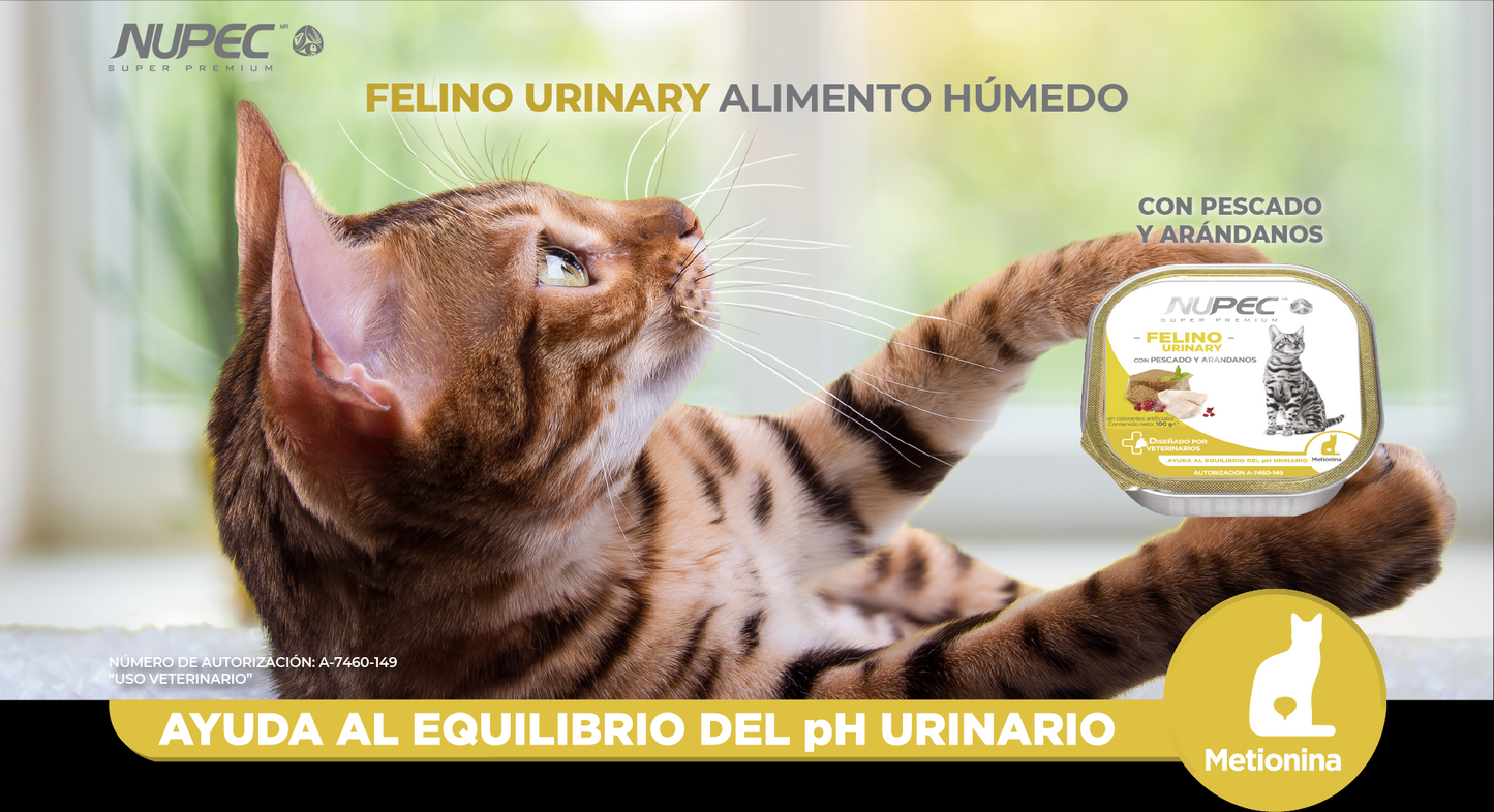 CT8440 1 Pieza De Alimento Humedo Con Pescado Y Arandanos