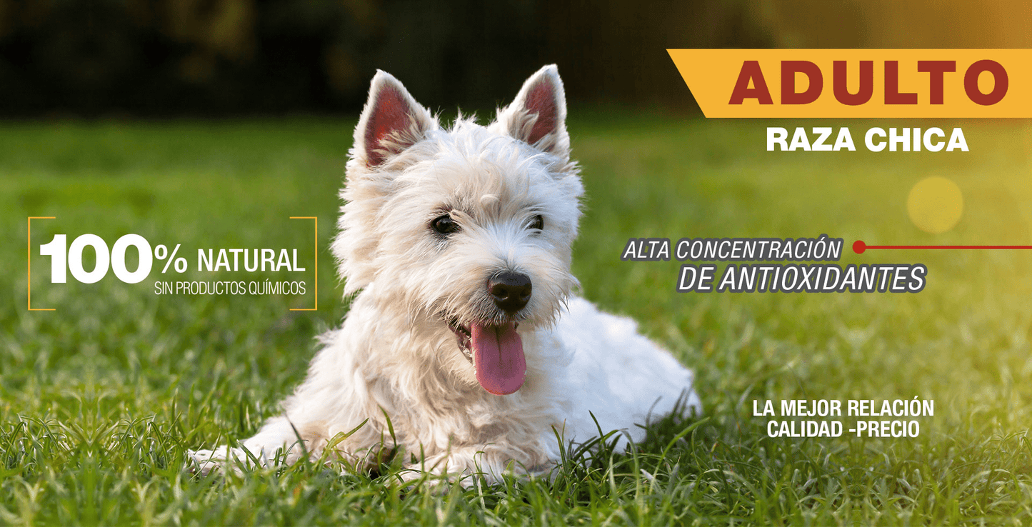 PS1822 1 Pieza De 3 Kg De Alimento Premium Adulto Raza Chica