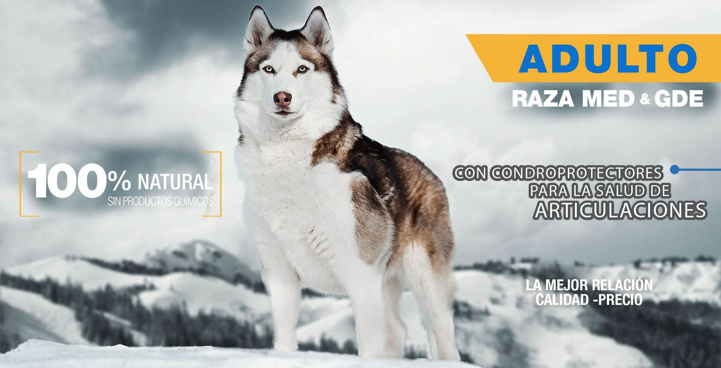 PS1835 1 Pieza De 15 Kg De Alimento Premium Adulto MLB