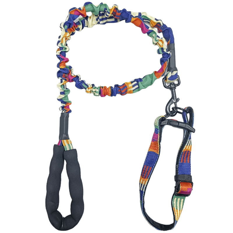 CT0438 1 Pieza De Correa Con Collar Para Mascota