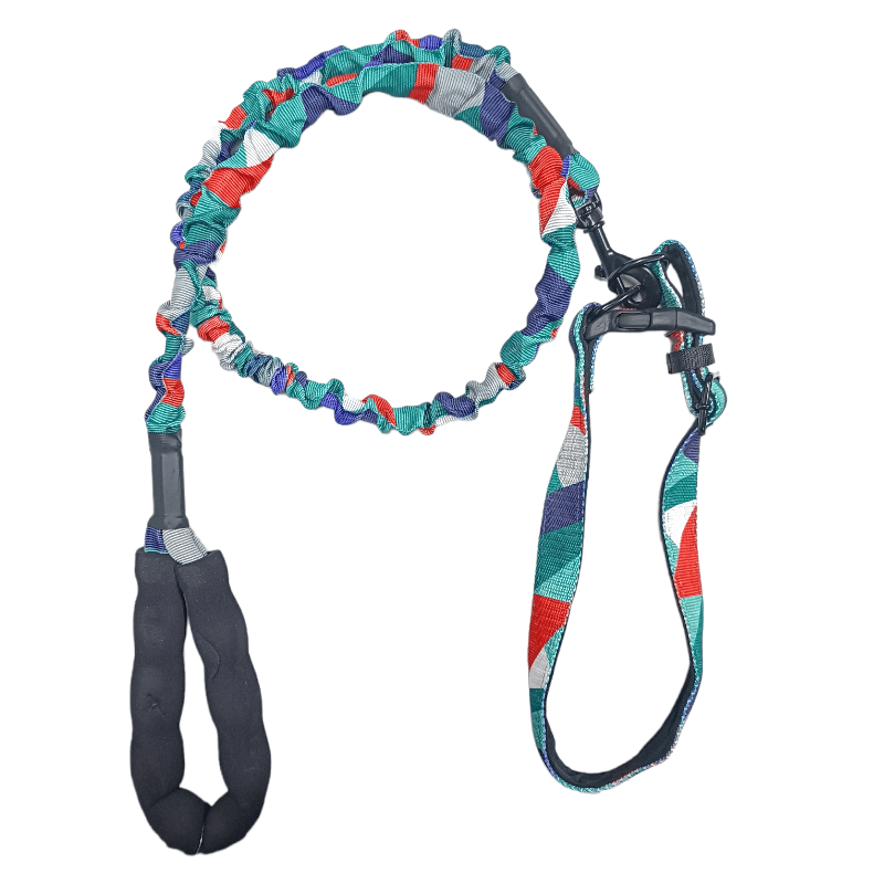 CT0438 1 Pieza De Correa Con Collar Para Mascota