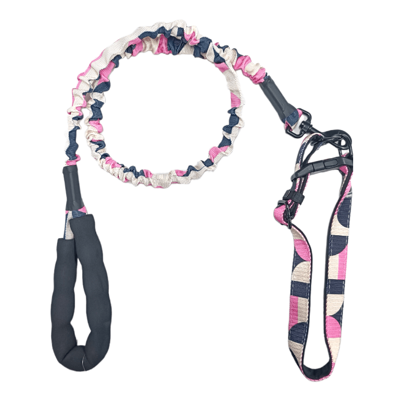 CT0438 1 Pieza De Correa Con Collar Para Mascota