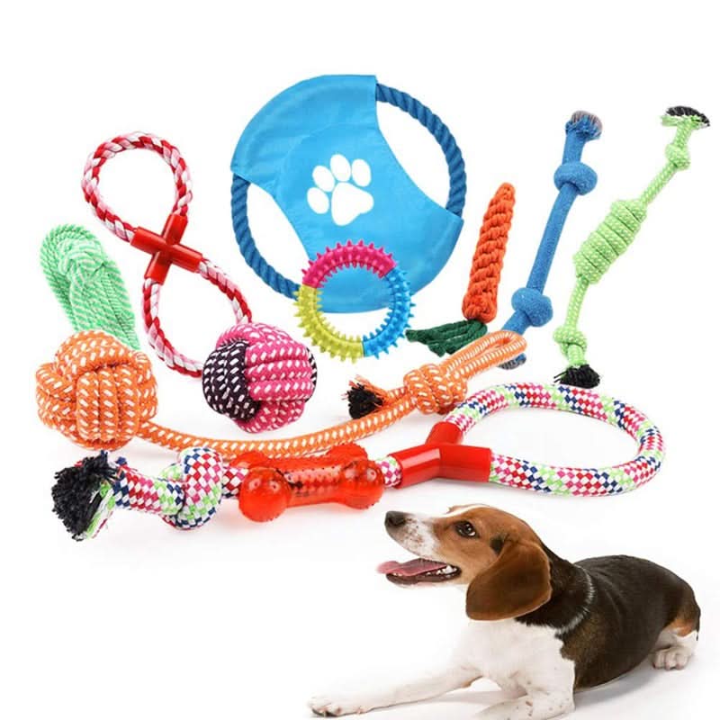 CT1750 1 Set De 10 Piezas Set Juguete De Mascota