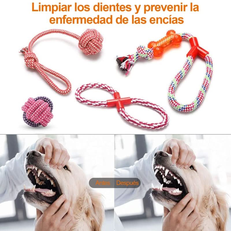 CT1750 1 Set De 10 Piezas Set Juguete De Mascota