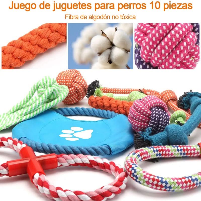 CT1750 1 Set De 10 Piezas Set Juguete De Mascota