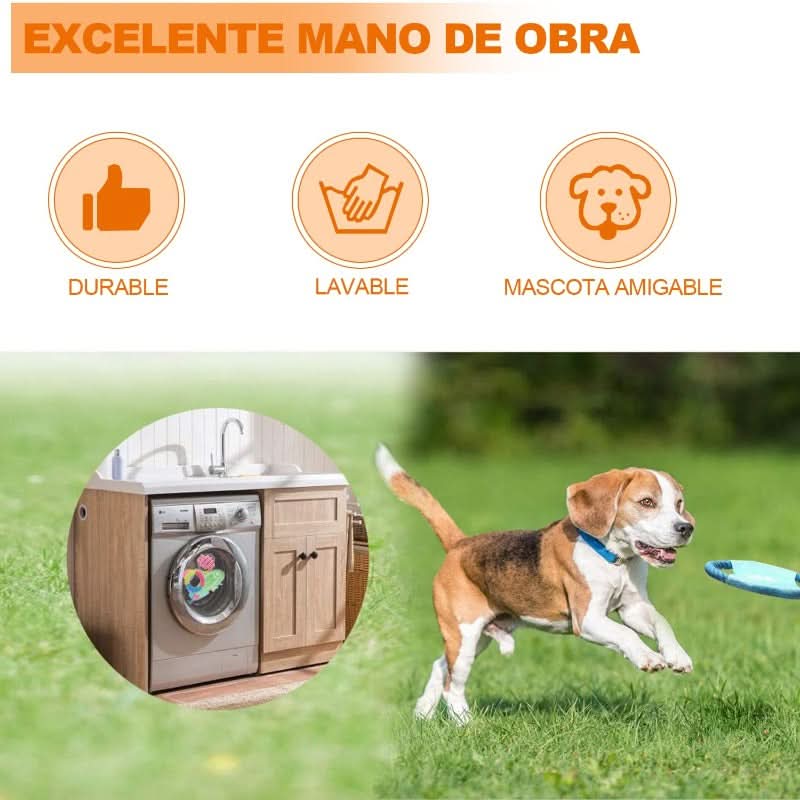 CT1750 1 Set De 10 Piezas Set Juguete De Mascota