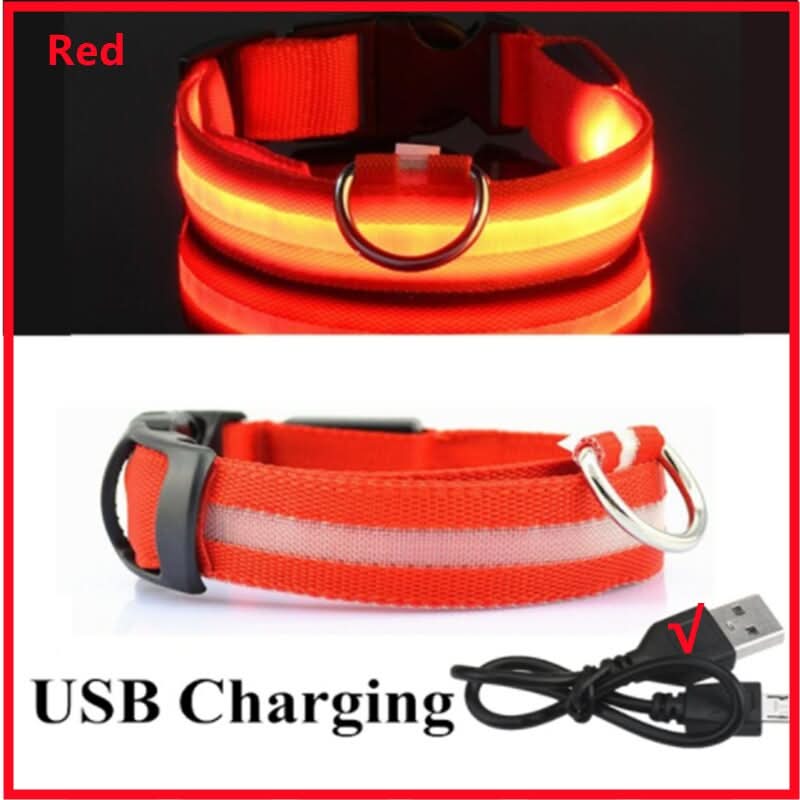 CT2111-50305 1 Pieza De Collar De Luz LED De Bateria