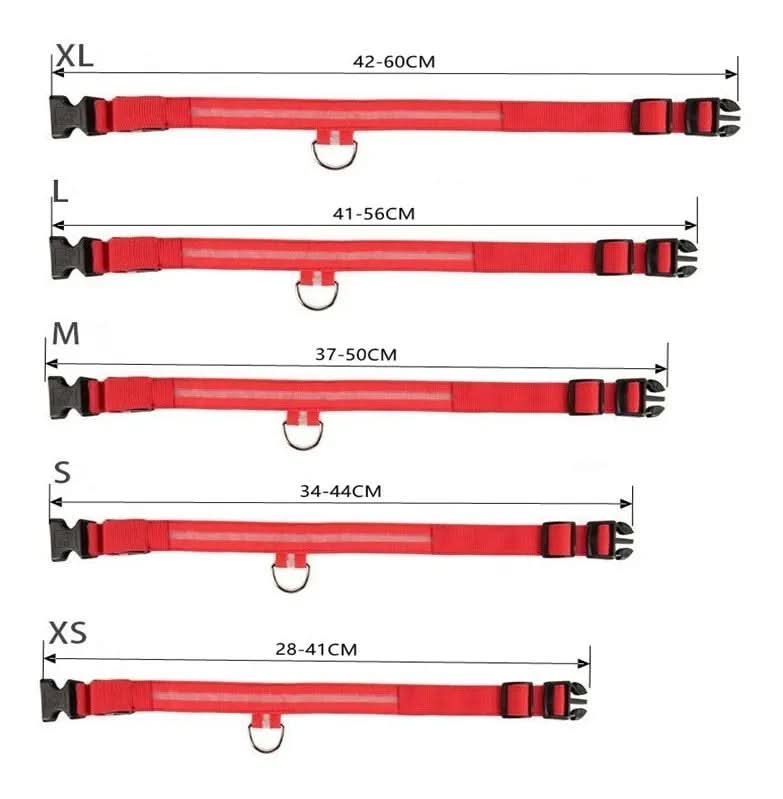 CT2111-50305 1 Pieza De Collar De Luz LED De Bateria