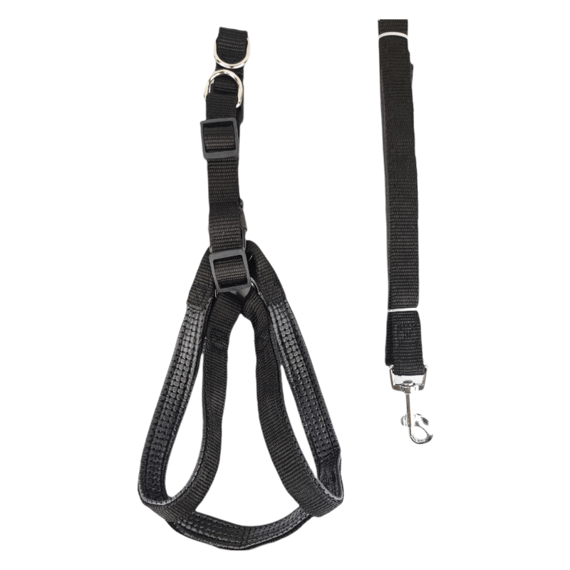 CT2443 1 Pieza Correa & 1 Pieza Pechera/Arnés Ch