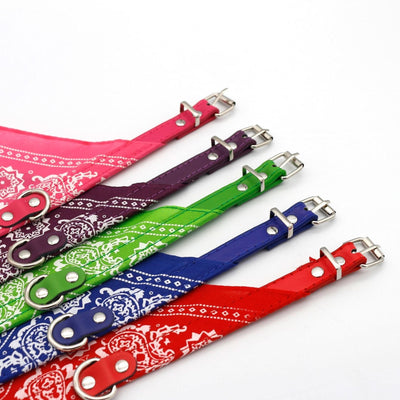 CT3655 1 Pieza De Collares Para Mascotas Con Diseño De Paliacate Ch