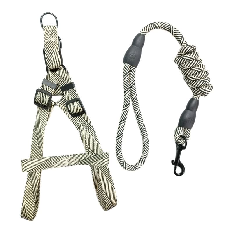 CT4133 1 Pieza Correa & 1 Pieza Pechera/Arnés