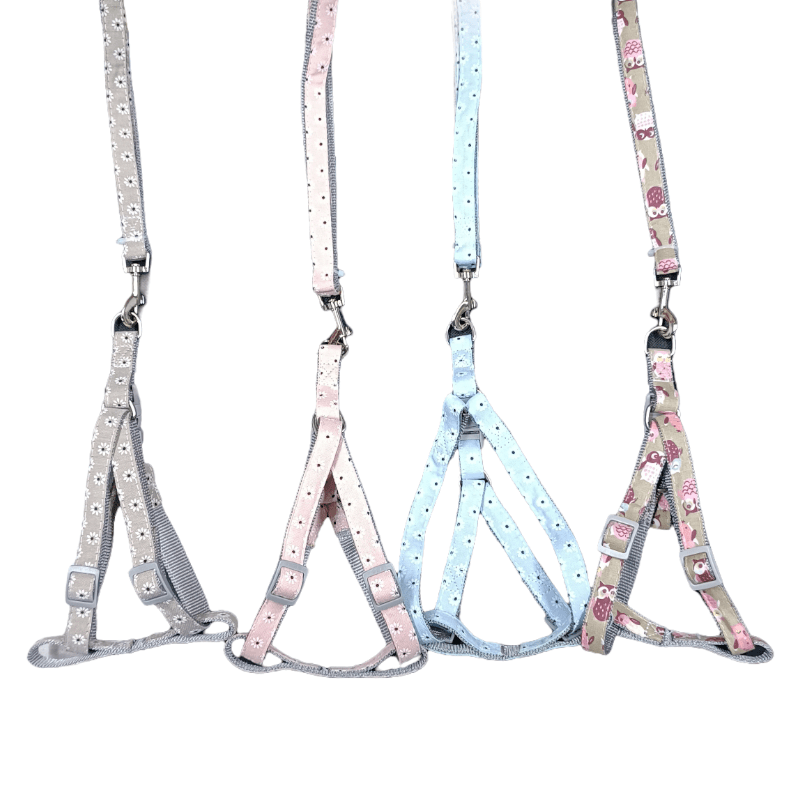 CT8667 1 Pieza De Pechera & 1 Pieza Correa Para Mascota