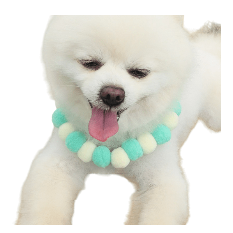 CT9031 1 Pieza De Collar Para Mascota
