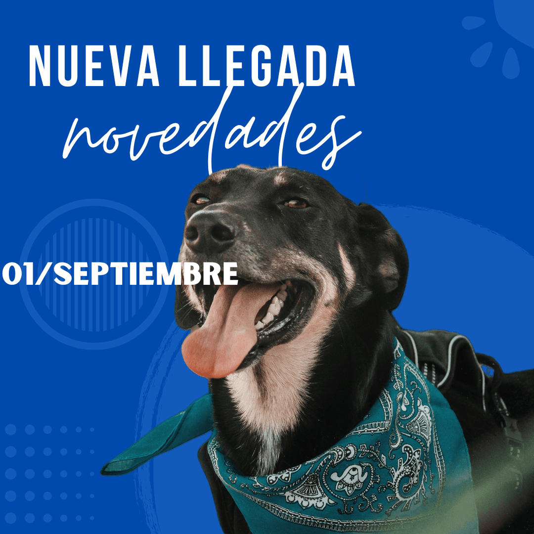 01 De Septiembre