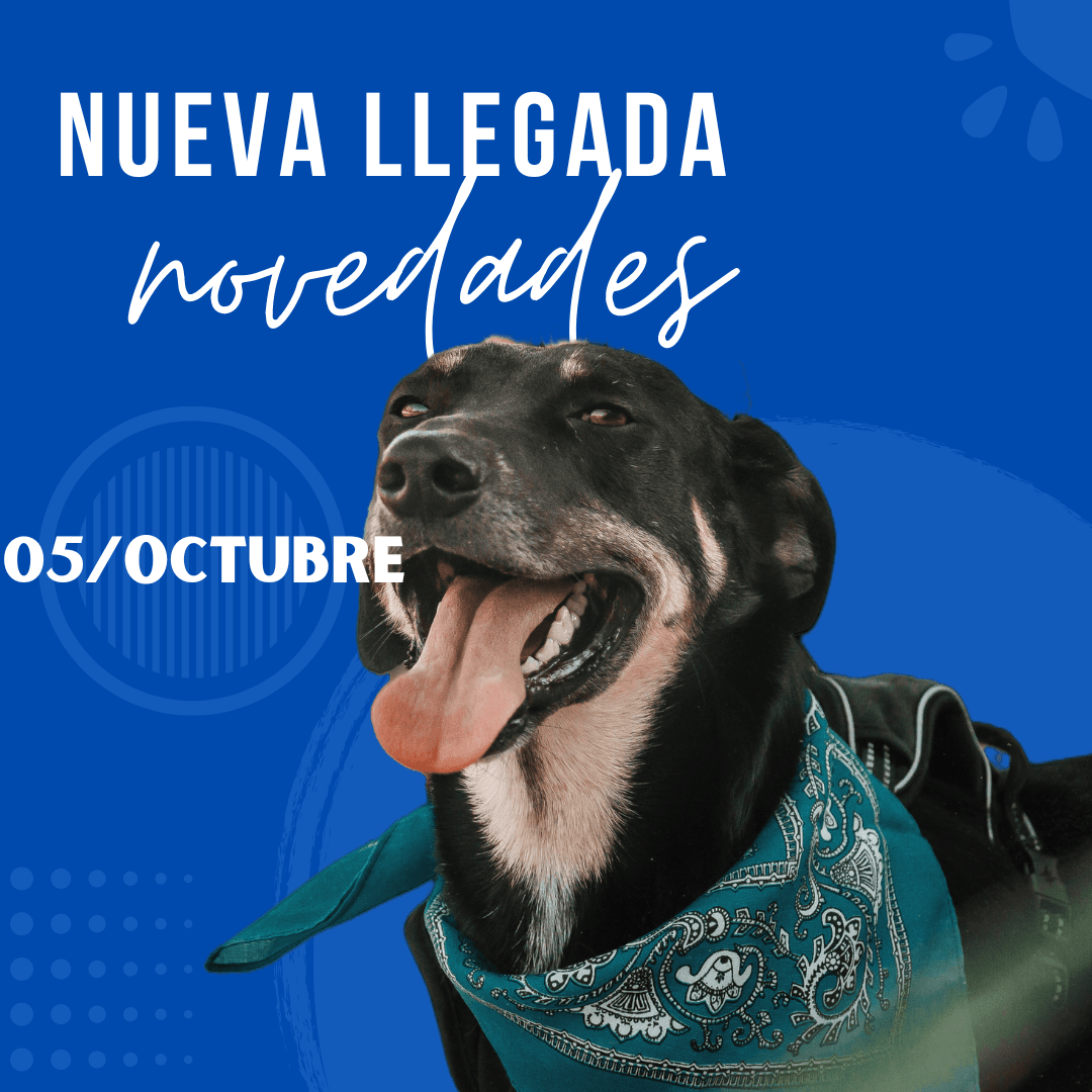 05 De Octubre