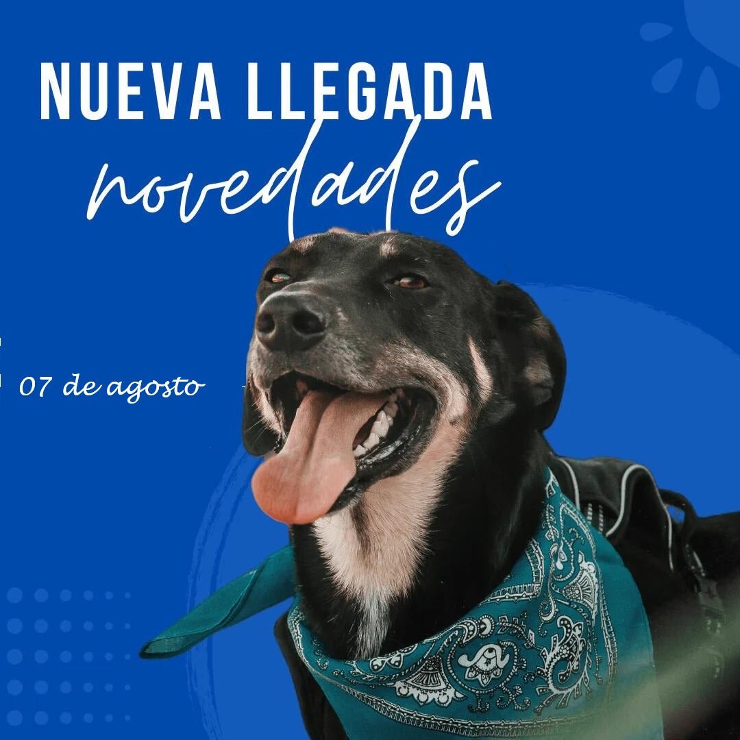 07 de Agosto