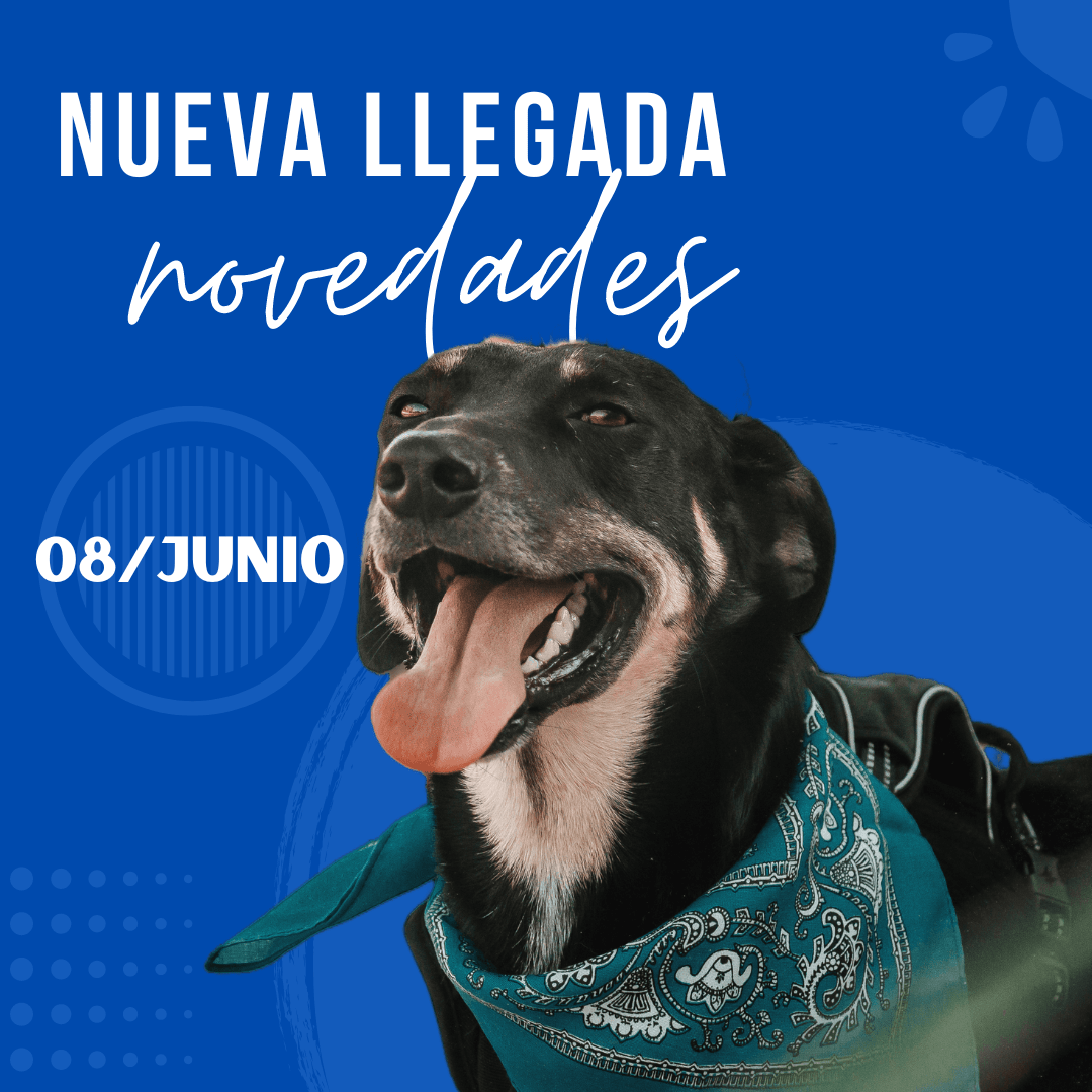 08 De Junio