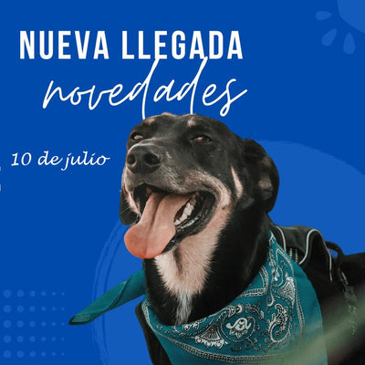 10 de Julio