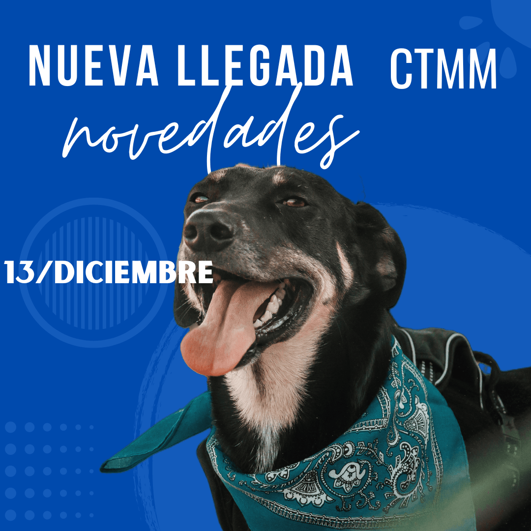 13 De Diciembre CTMM