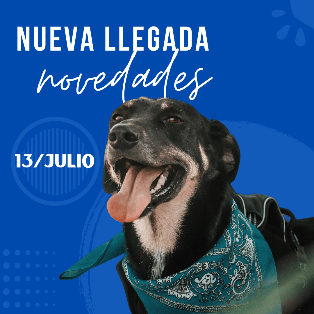 13 De Julio