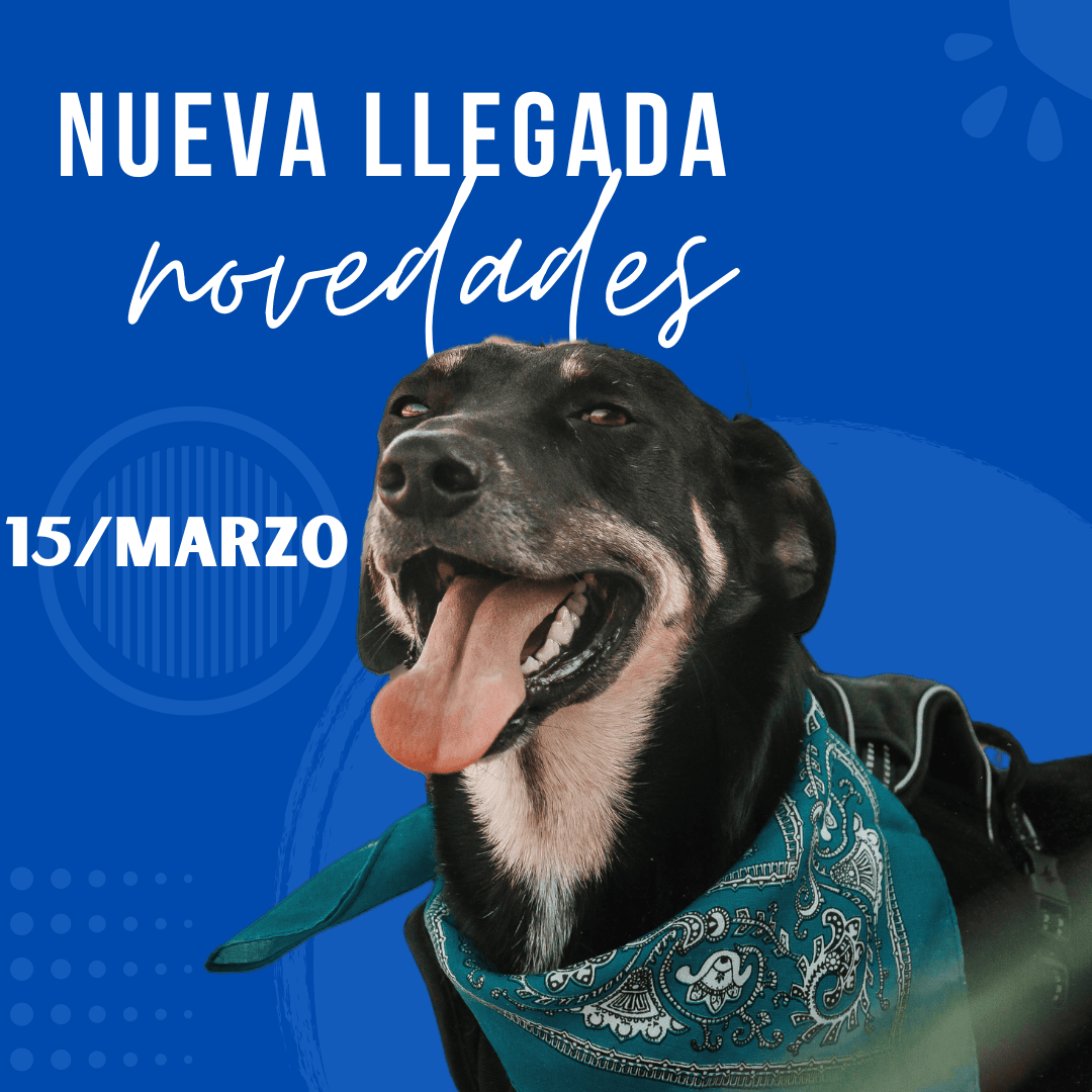15 De Marzo
