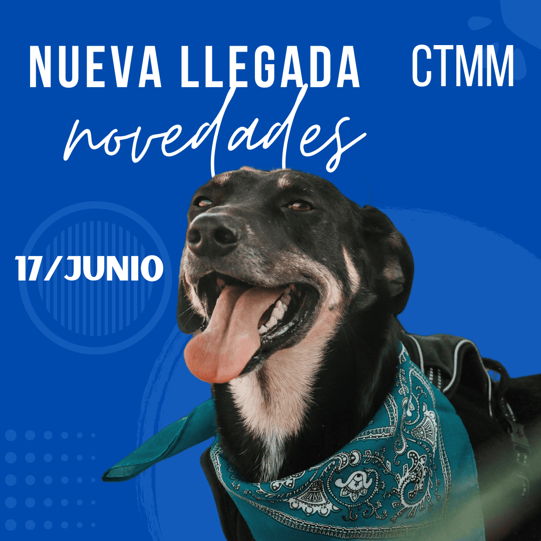 17 De Junio CTMM