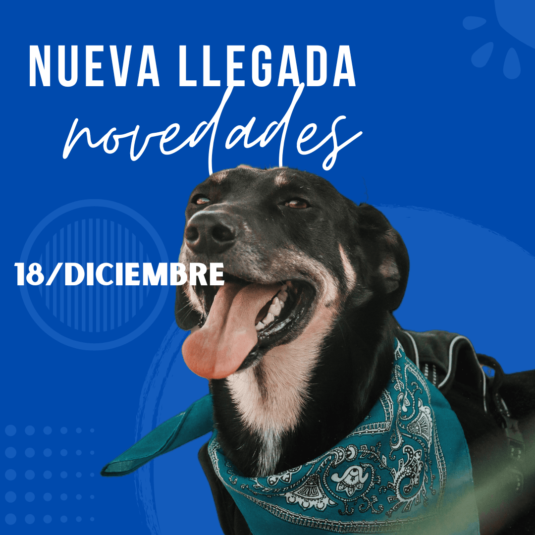 18 De Diciembre