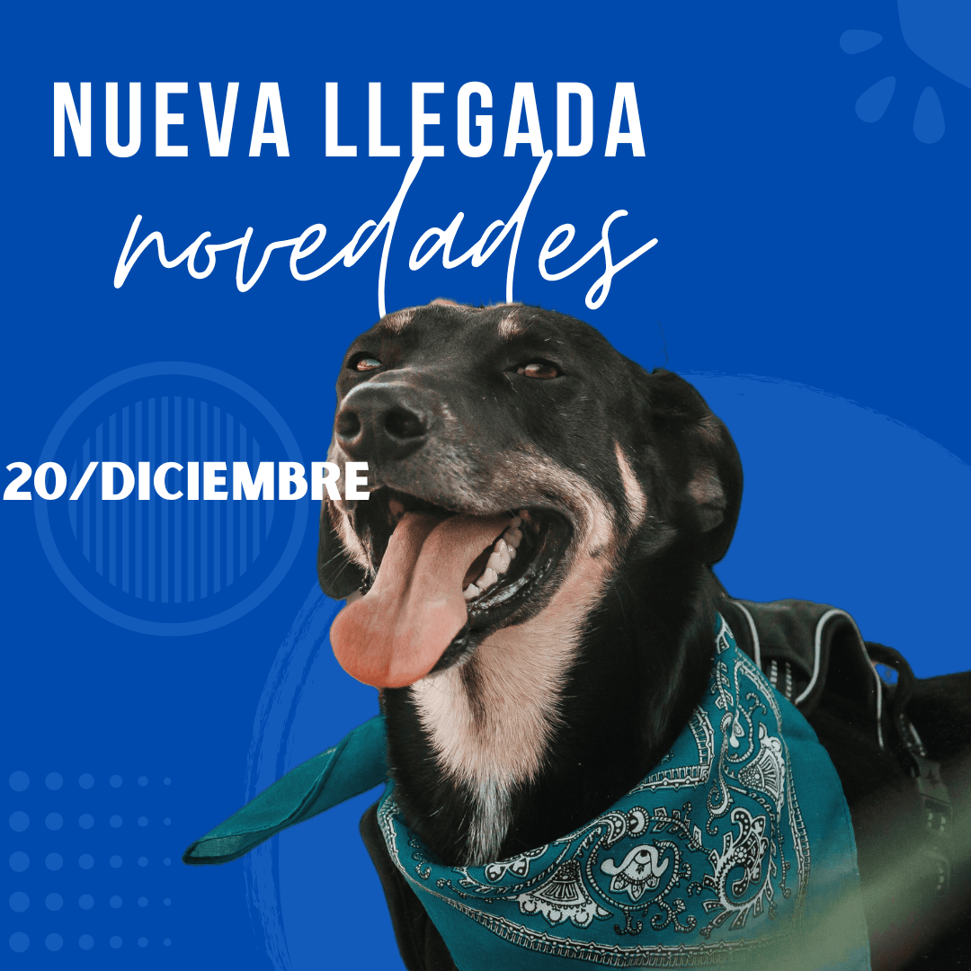 20 De Diciembre