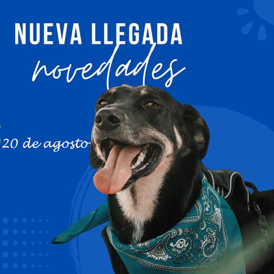20 De Agosto
