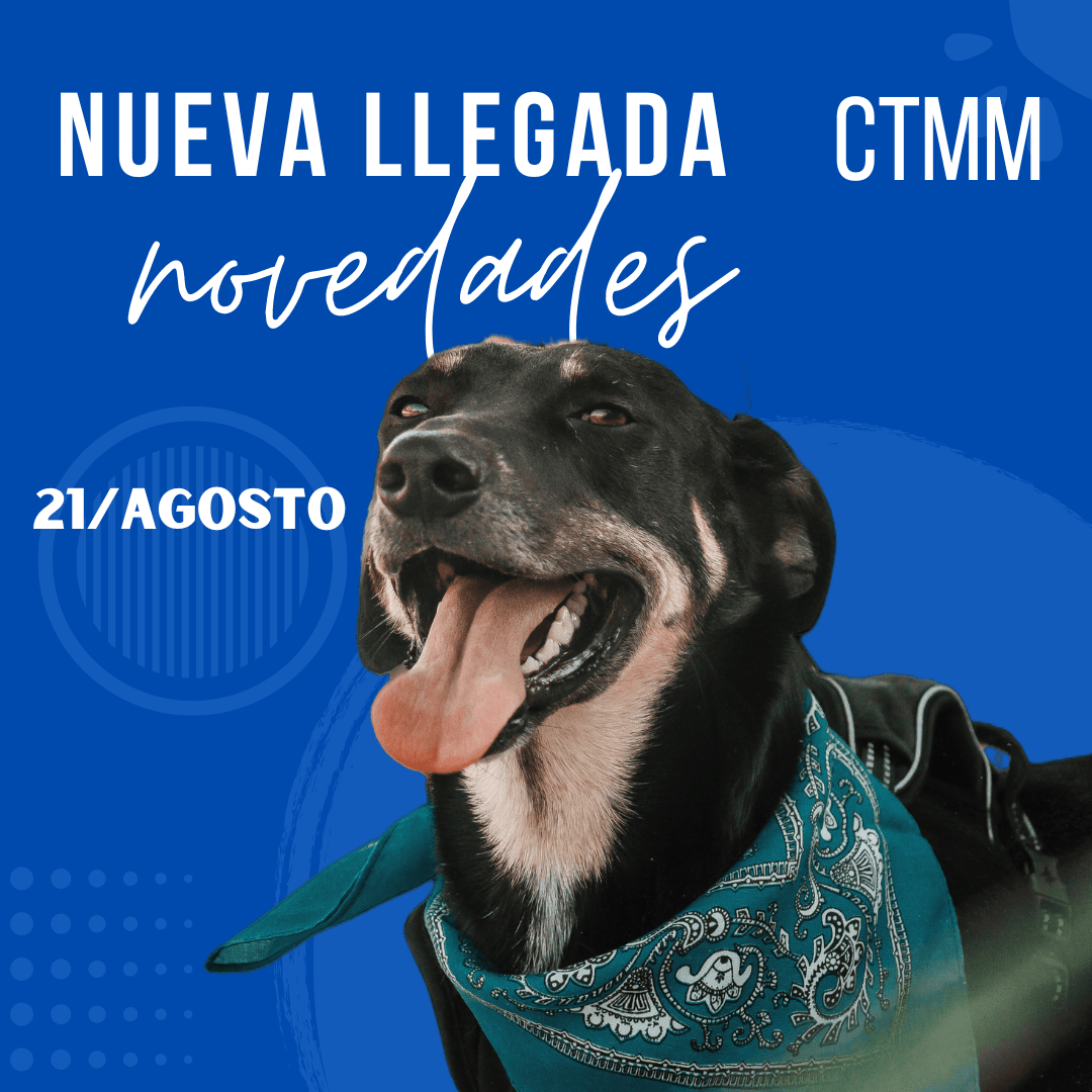 21 De Agosto CTMM