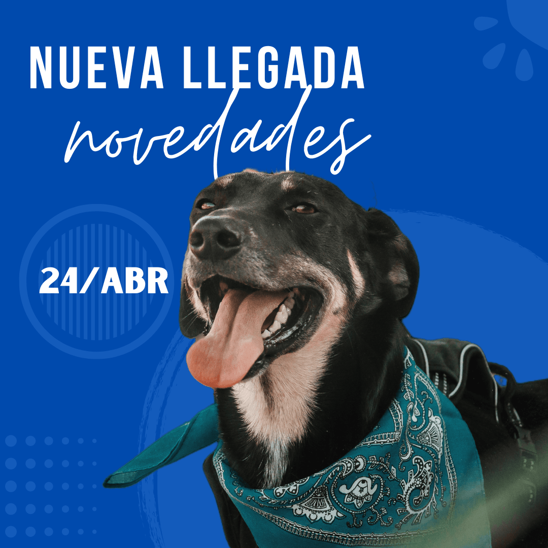 24 De Abril